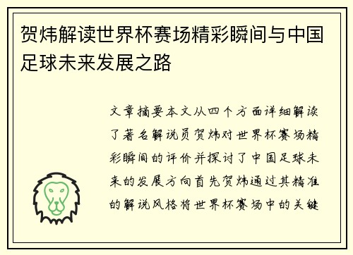 贺炜解读世界杯赛场精彩瞬间与中国足球未来发展之路